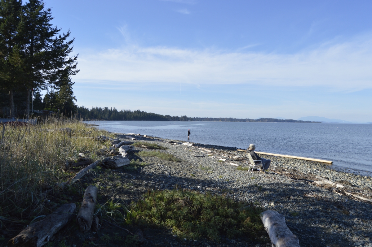 Woodbine Road Beach Access | Comox Valley Regional District