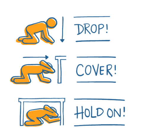 Drop Cover Hold On